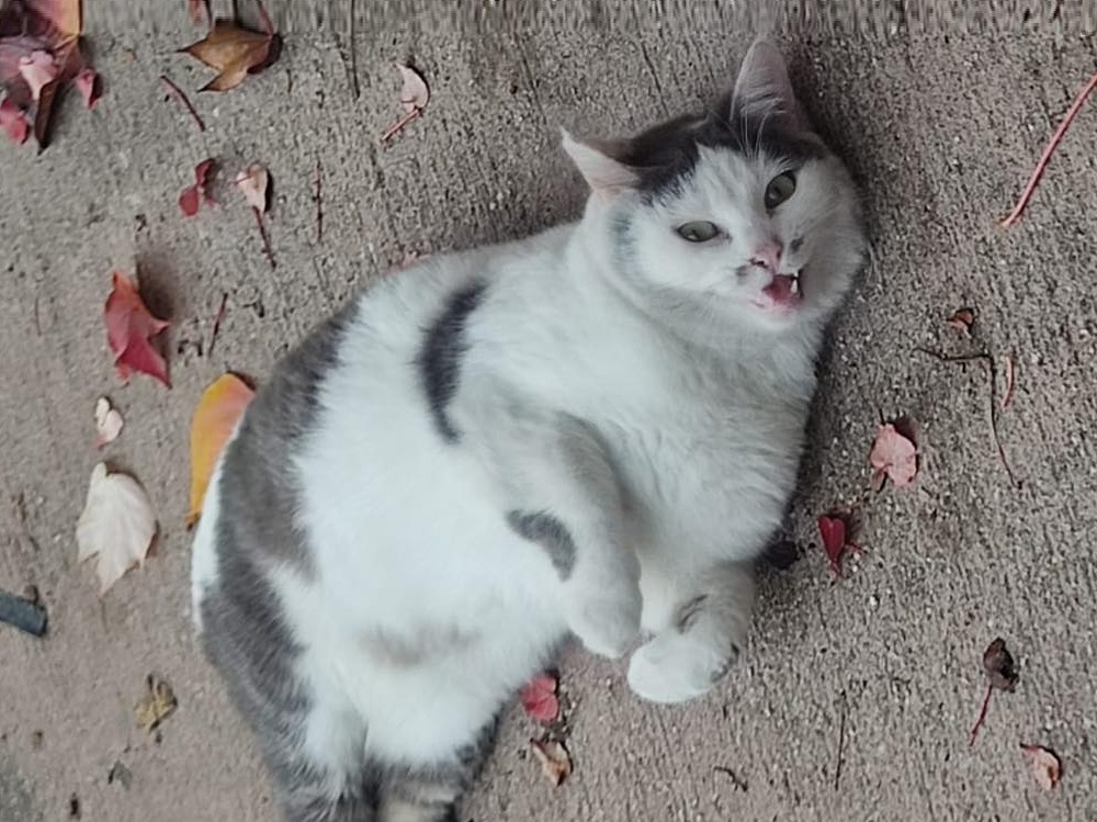 634166810_1320785553413183_8155650530817791319_n