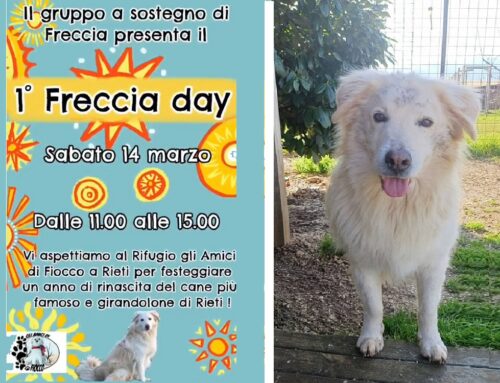 Si avvicina il 1° Freccia Day