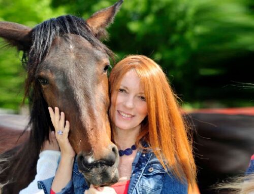 Equidi, interrogazione On. Brambilla: “Più controlli sui cavalli a fine carriera”