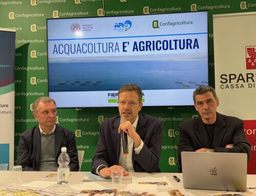 Acquacoltura italiana, tecnologia e benessere animale per l’agricoltura del mare e dei fiumi