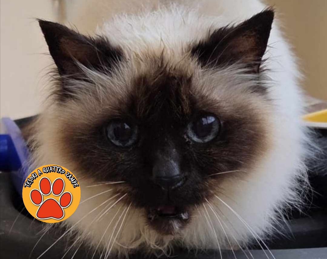 Polish_20260214_104016846