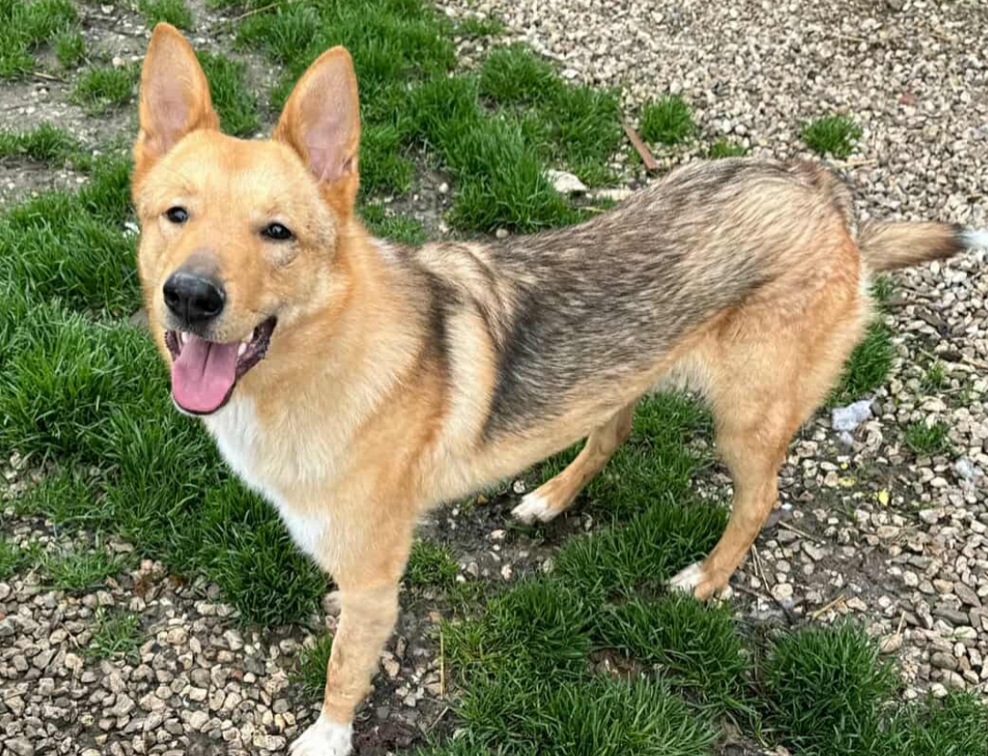 Polish_20260216_093827743