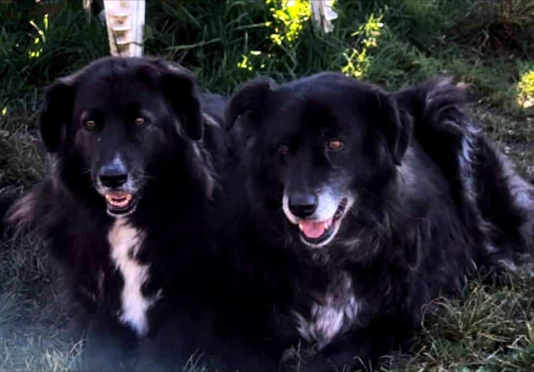 Polish_20260216_222107278