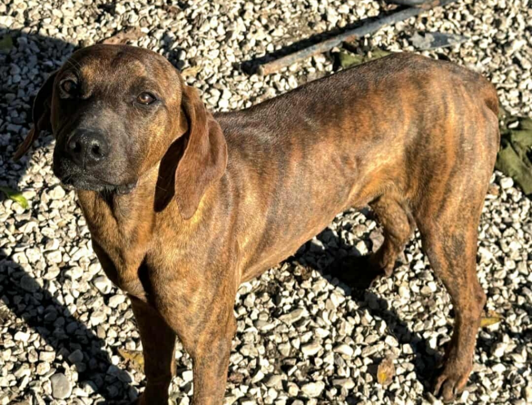 Polish_20260219_111048096