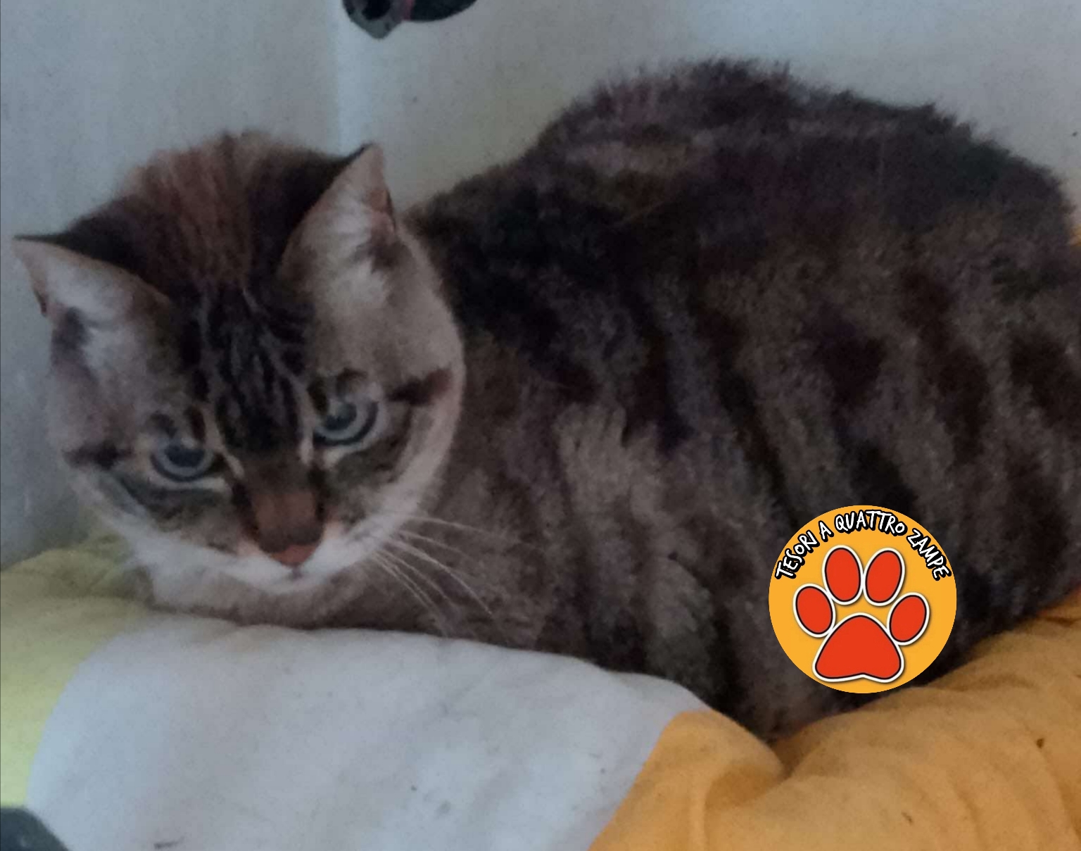 Polish_20260221_123739412