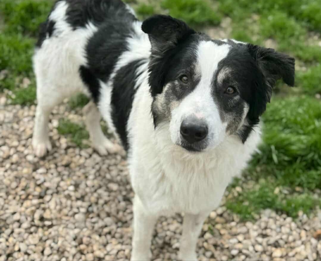 Polish_20260222_105601780