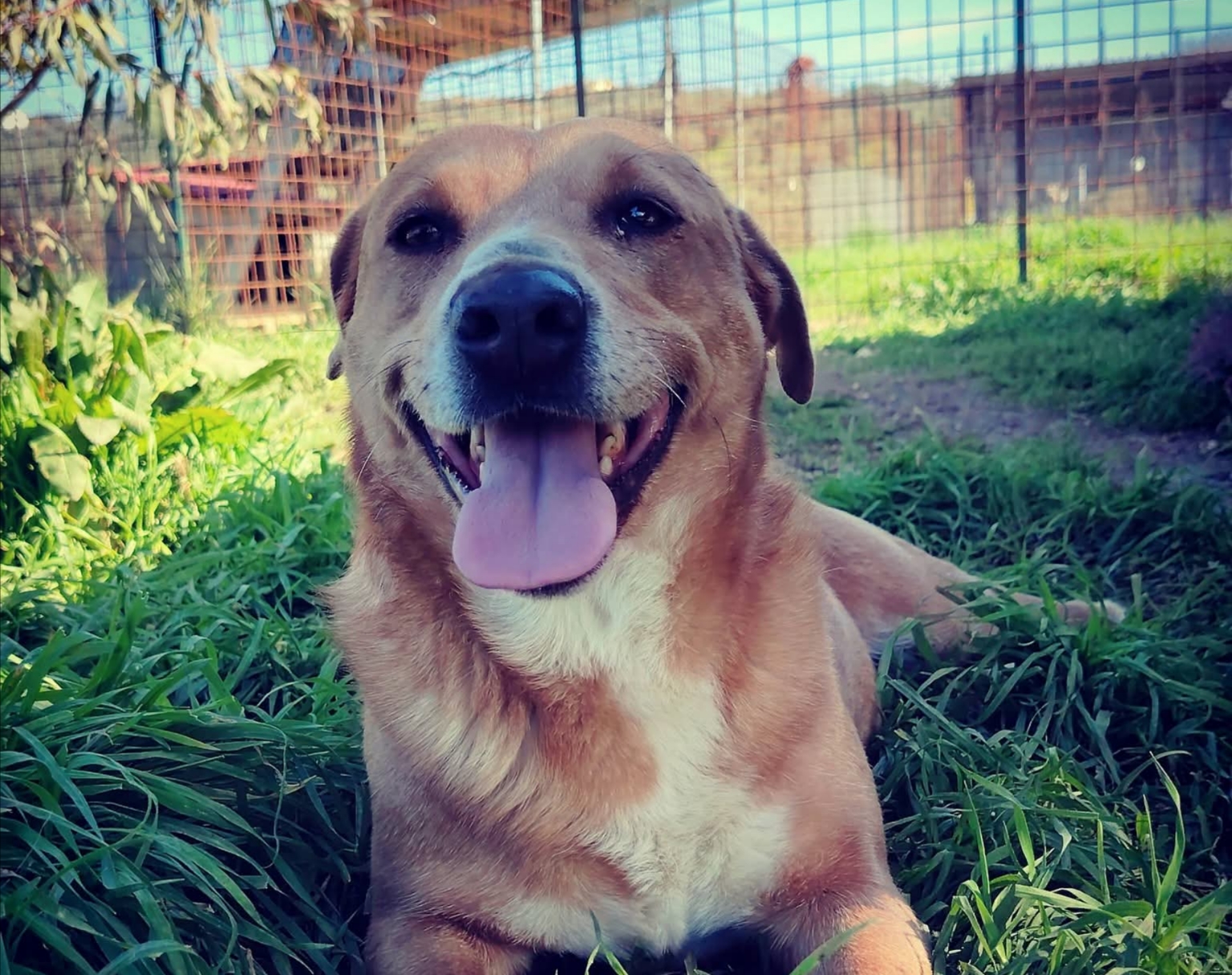 Polish_20260225_204840530