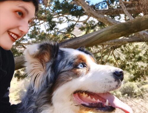 APPUNTI A SEI ZAMPE – Affetto senza possesso: cos’è una relazione sana