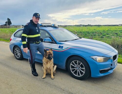 Brindisi, la Polizia Stradale blocca il traffico per salvare un Pastore Tedesco in difficoltà