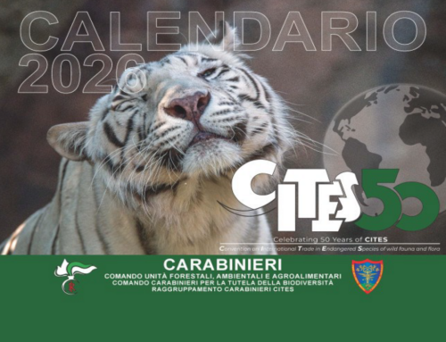 Carabinieri Forestale, presentato il Calendario CITES 2026 nelle scuole reatine