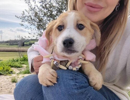 Sole non ha ancora una famiglia. Anche lei è dolcissima