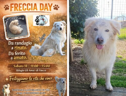 Sabato 14 marzo partecipa al 1° Freccia Day