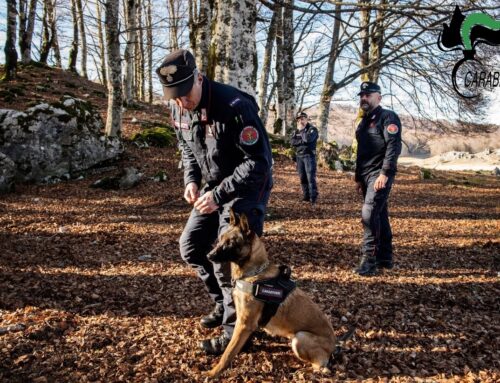 L’Unità Cinofila Antiveleno dei Carabinieri di Rieti in piena attività