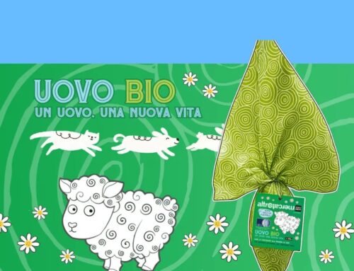 Campagna OIPA Pasqua Solidale 2026: “Un uovo, una nuova vita”