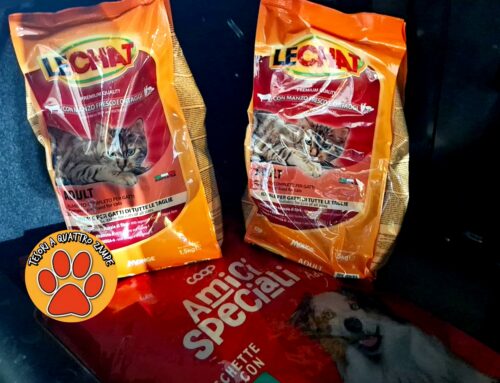 In ricordo di Marta: la famiglia De Angelis dona a Tesori a quattro zampe 15 chili di crocchette per cani e gatti senza famiglia