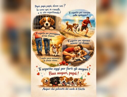 I cagnolini del Canile di Vasto fanno gli auguri ai papà!