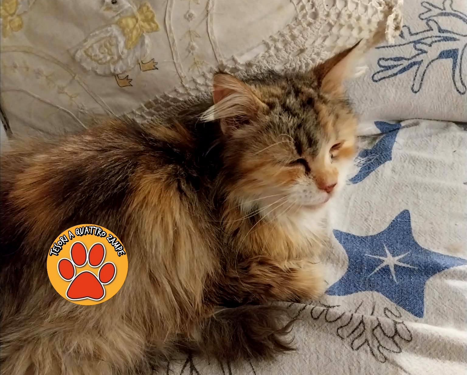 Polish_20260320_185758192