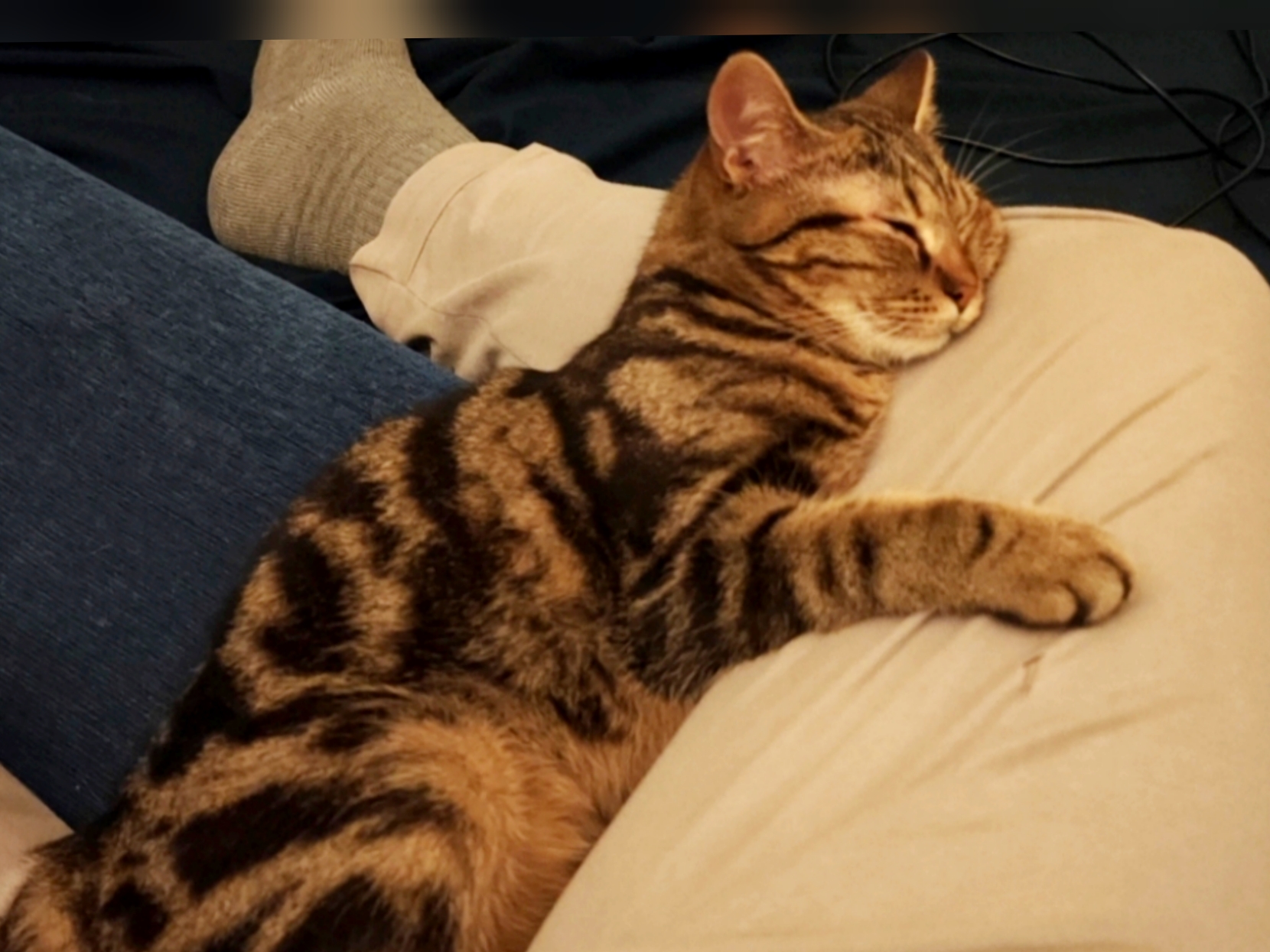 Polish_20260327_175153886