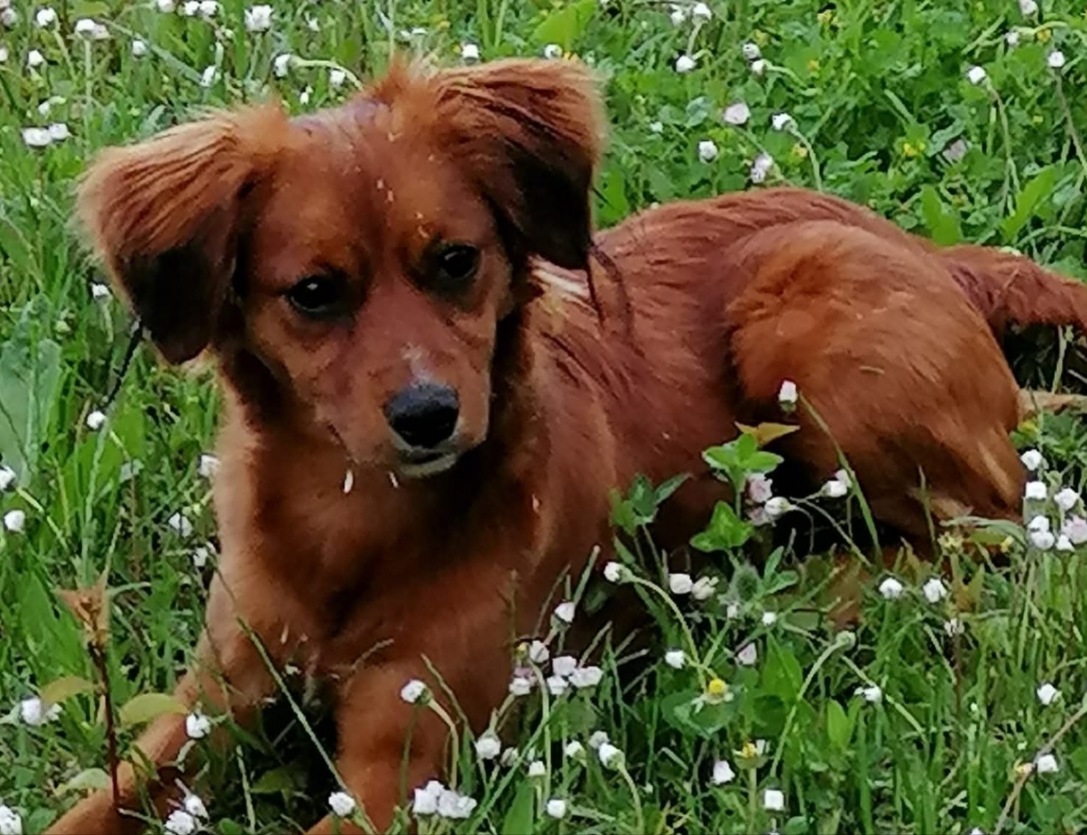 Polish_20260329_215942599