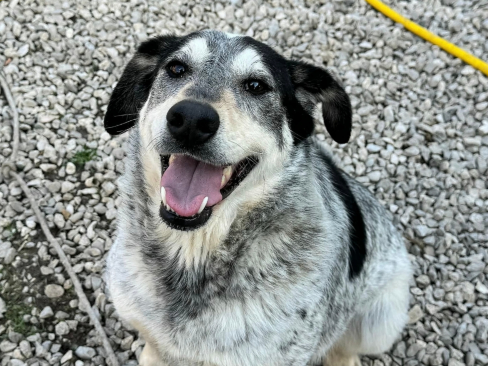 Polish_20260330_204403036