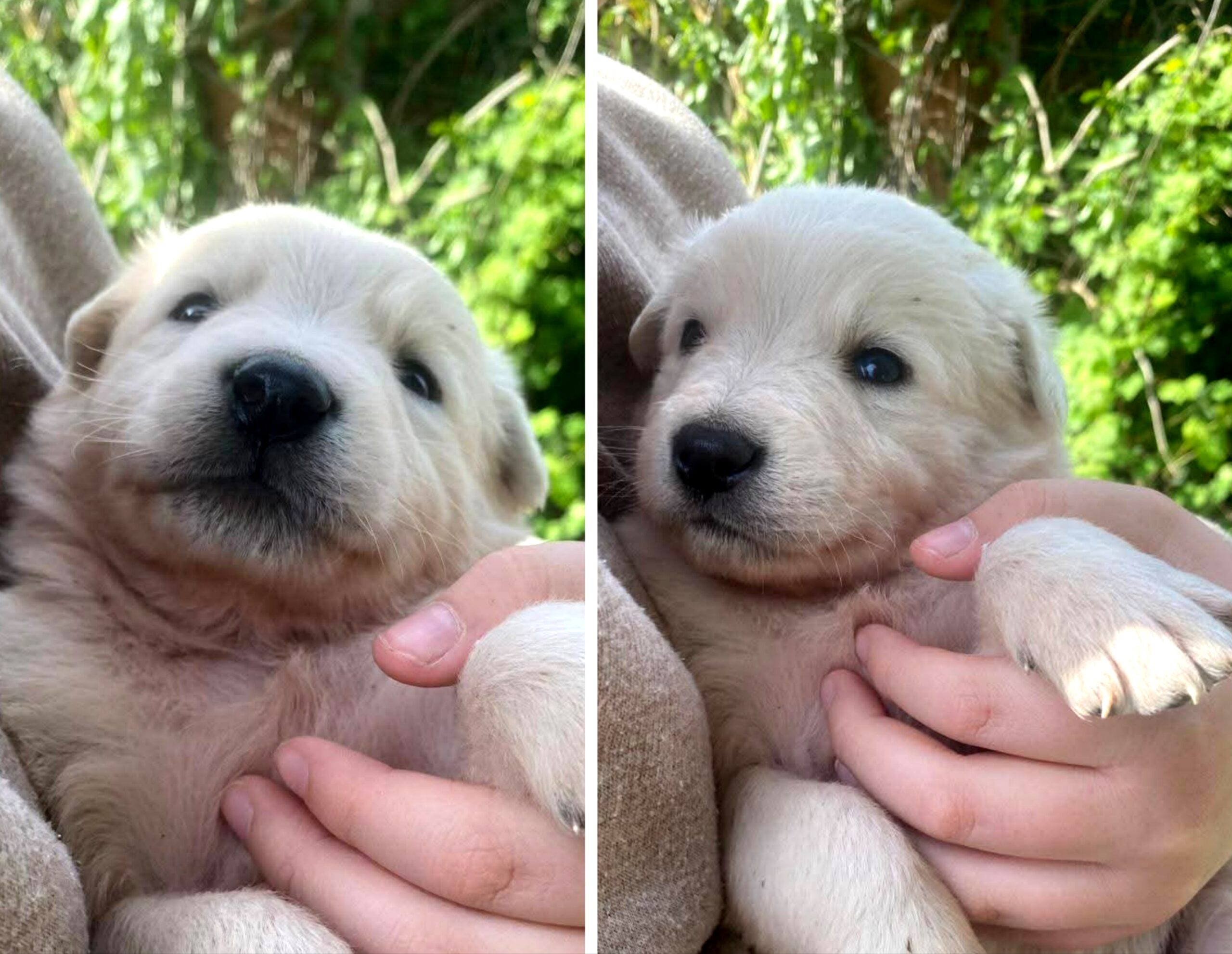 Polish_20260331_101940375