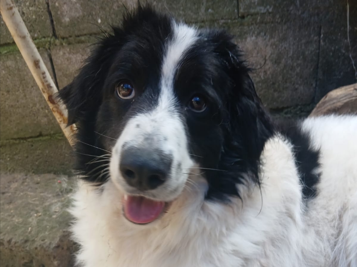 Polish_20260331_211539820