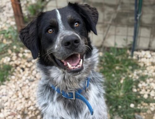 Sabato 28 marzo le volontarie di Pasqualina e uno degli ospiti del Rifugio ospiti del Parco Augusteo di Passo Corese