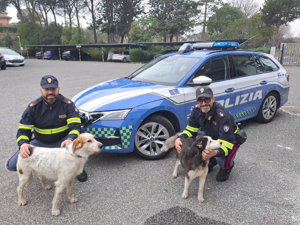 polizia_di_stato_a1_cane_salvati