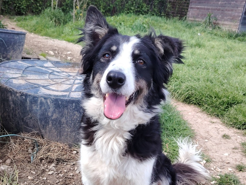 661445217_1285370137021353_6019613308482121867_n