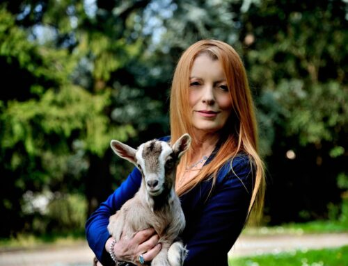 Pasqua, On. Brambilla: “Che sia una festa veg, non mangiate agnelli e capretti”