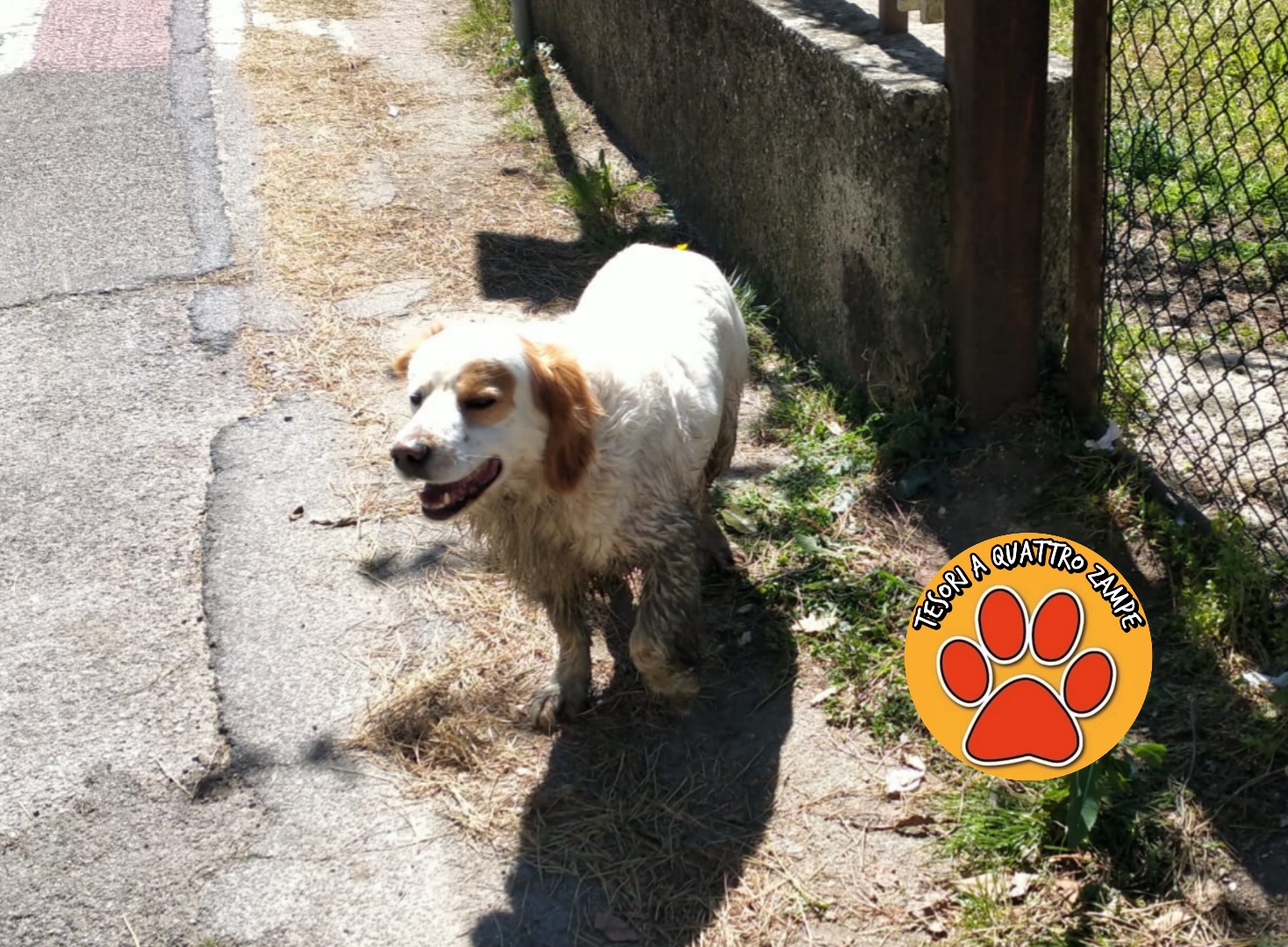 Polish_20260404_142321887