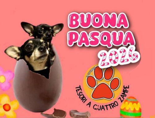 Buona Pasqua da Tesori a quattro zampe