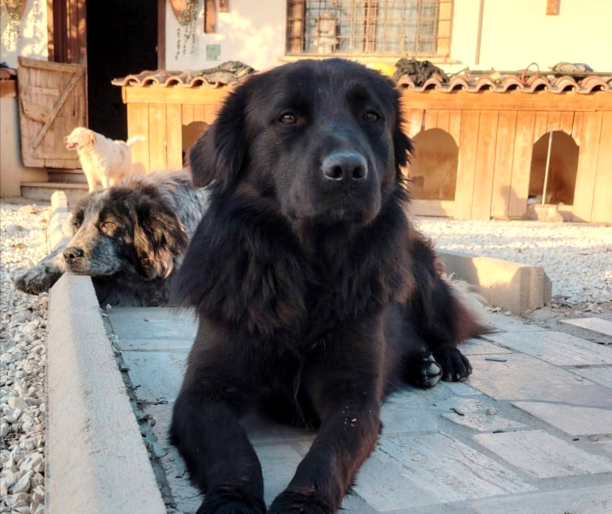 Polish_20260408_144345130