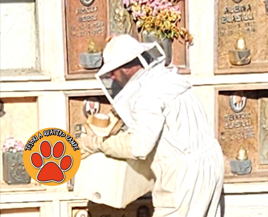 Polish_20260408_203800140