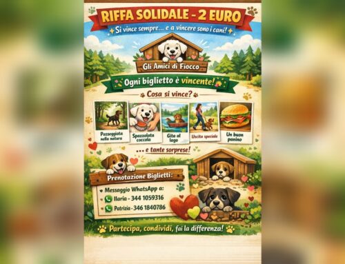 Riffa solidale del Rifugio Amici di Fiocco