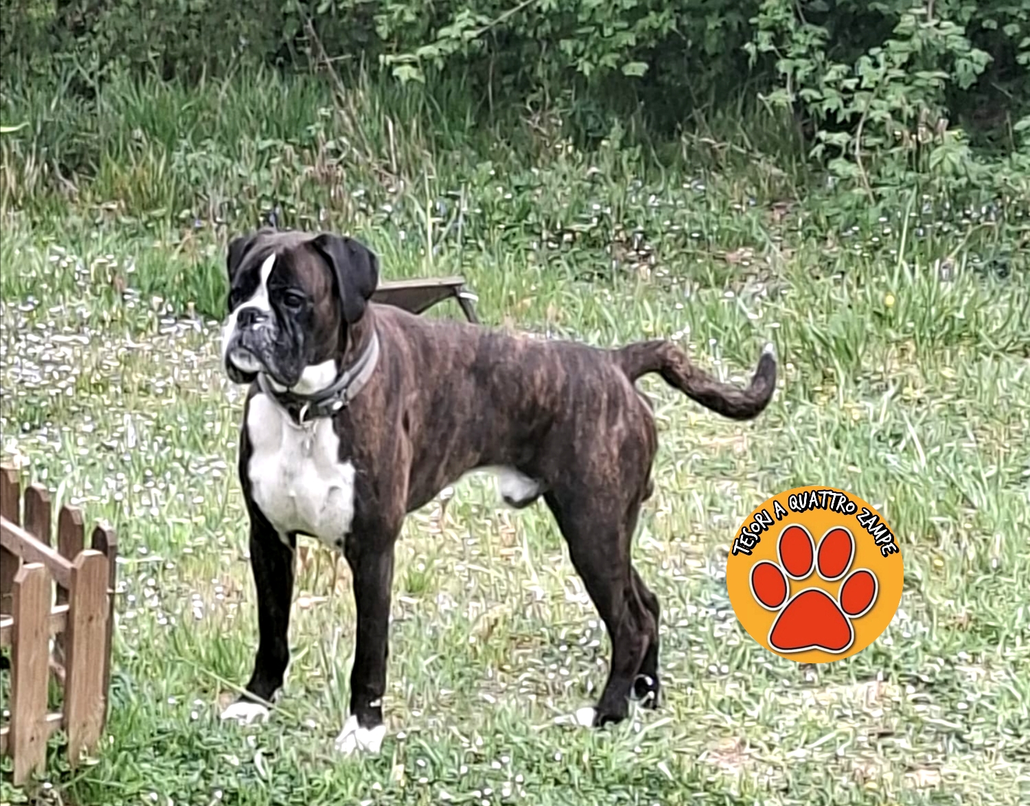 Polish_20260412_102435603