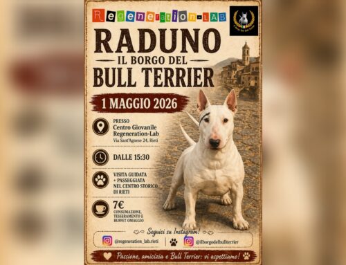 A Rieti il 1° maggio raduno di Bull Terrier