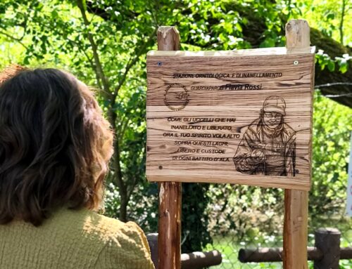 La Riserva Laghi Lungo e Ripasottile ricorda Flavia Rossi, guardiaparco