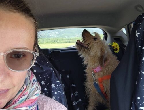 Spina è la prima a poter godere della riffa solidale de Gli Amici di Fiocco