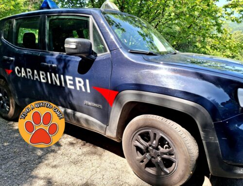Blitz di Enrico Rizzi e Carabinieri Forestali: tolti altri 48 cani alla accumulatrice della Sabina