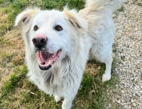 Margot da Teramo: che sorriso che ha!