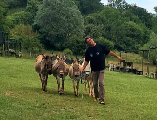 Gli alunni della scuola di Pereto hanno incontrato gli asinelli de “La Riviera degli Asinelli &Raglio Ranch”