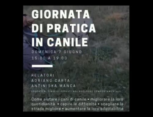 Al Rifugio Amici di Fiocco “Giornata di pratica in canile” – ISCRIZIONI APERTE