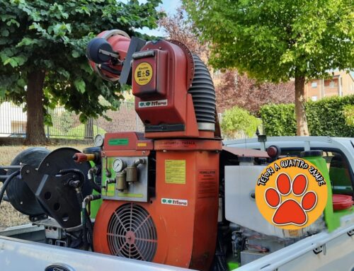 Rieti, disinfestazione anti-zanzare: non lasciare cucce ed animali all’aperto
