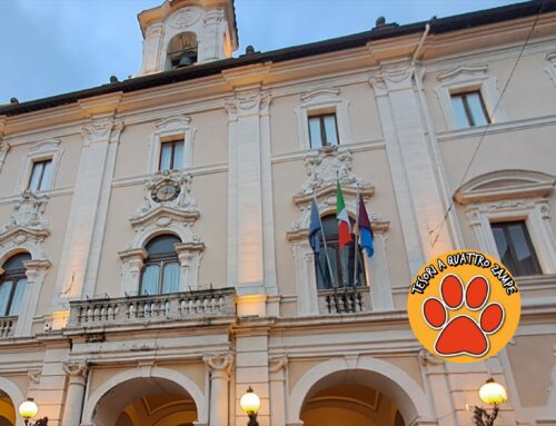 Tutela e benessere degli animali: prosegue l’iter del nuovo Regolamento Comunale di Rieti