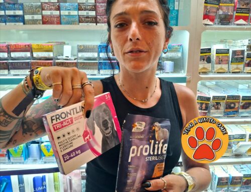 Consegnati alla volontaria Maria antiparassitari per cani donati dalla Cooperativa Levante. Grazie anche a Martina per collaborazione