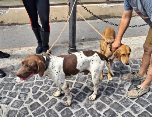 Trovati a Poggio Mirteto, di chi sono?