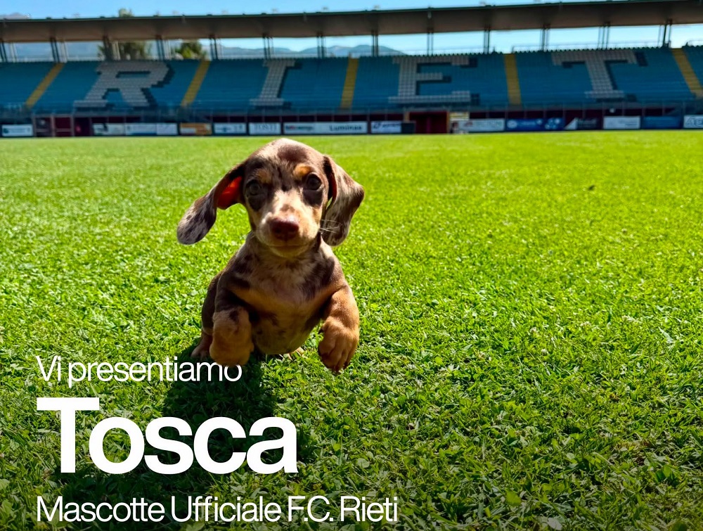 cane_tosca_fc_rieti