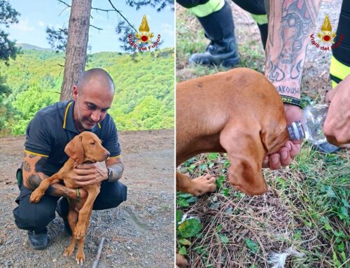 Dal fumo e dalle fiamme di Costa Lazzara a Ronco Scrivia è uscito Gabor, riconsegnato ai familiari dai Vigili del Fuoco di Busalla