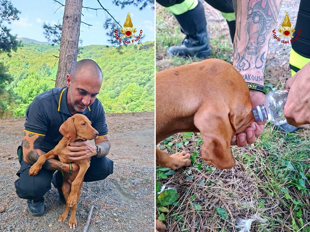 cane_vigili_del_fuoco_genova_